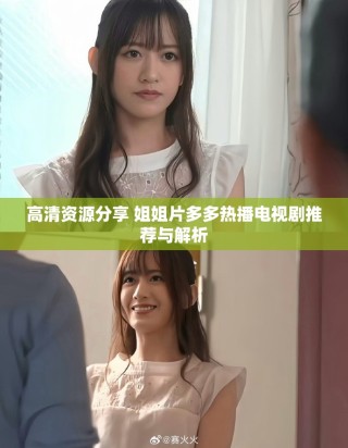 高清资源分享 姐姐片多多热播电视剧推荐与解析