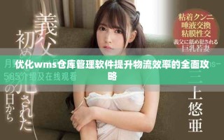 优化wms仓库管理软件提升物流效率的全面攻略