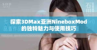 探索3DMax亚洲NineboxMod的独特魅力与使用技巧