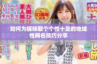 如何为猫咪取个个性十足的地域性网名技巧分享