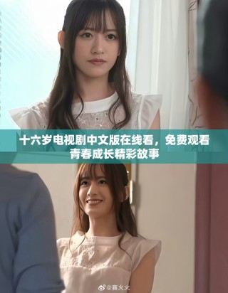 十六岁电视剧中文版在线看，免费观看青春成长精彩故事