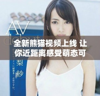 全新熊猫视频上线 让你近距离感受萌态可掬的熊猫生活