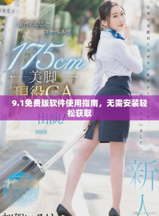 9.1免费版软件使用指南，无需安装轻松获取