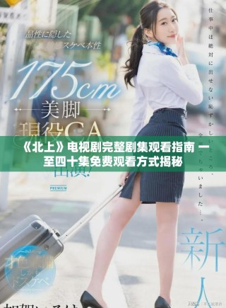 《北上》电视剧完整剧集观看指南 一至四十集免费观看方式揭秘