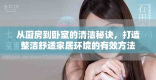 从厨房到卧室的清洁秘诀，打造整洁舒适家居环境的有效方法