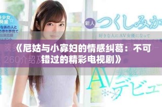 《尼姑与小寡妇的情感纠葛：不可错过的精彩电视剧》