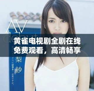 黄雀电视剧全剧在线免费观看，高清畅享精彩剧情
