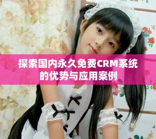 探索国内永久免费CRM系统的优势与应用案例