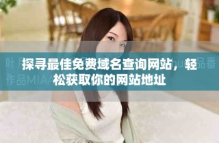 探寻最佳免费域名查询网站，轻松获取你的网站地址