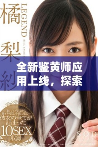全新鉴黄师应用上线，探索网络内容安全的新方式与新技术