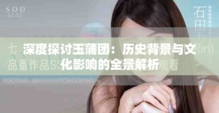 深度探讨玉蒲团：历史背景与文化影响的全景解析