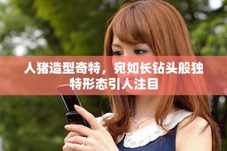 人猪造型奇特，宛如长钻头般独特形态引人注目