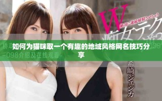 如何为猫咪取一个有趣的地域风格网名技巧分享
