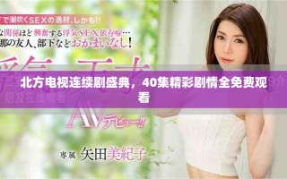 北方电视连续剧盛典，40集精彩剧情全免费观看