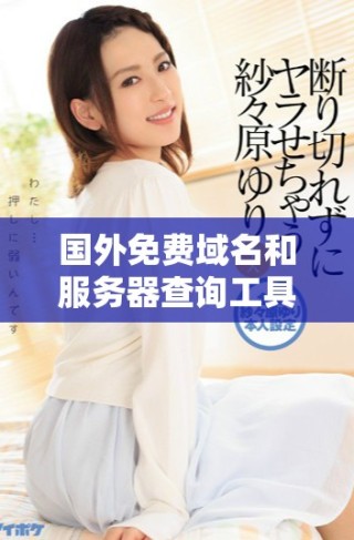 国外免费域名和服务器查询工具推荐及使用指南