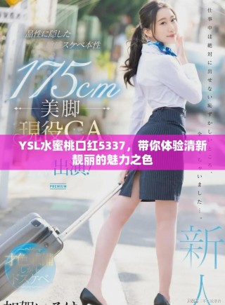 YSL水蜜桃口红5337，带你体验清新靓丽的魅力之色