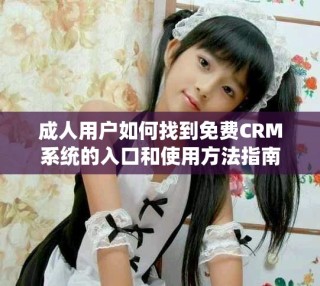 成人用户如何找到免费CRM系统的入口和使用方法指南