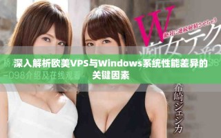 深入解析欧美VPS与Windows系统性能差异的关键因素