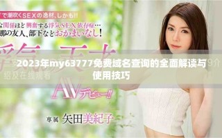 2023年my63777免费域名查询的全面解读与使用技巧