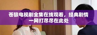 苍狼电视剧全集在线观看，经典剧情一网打尽尽在此处