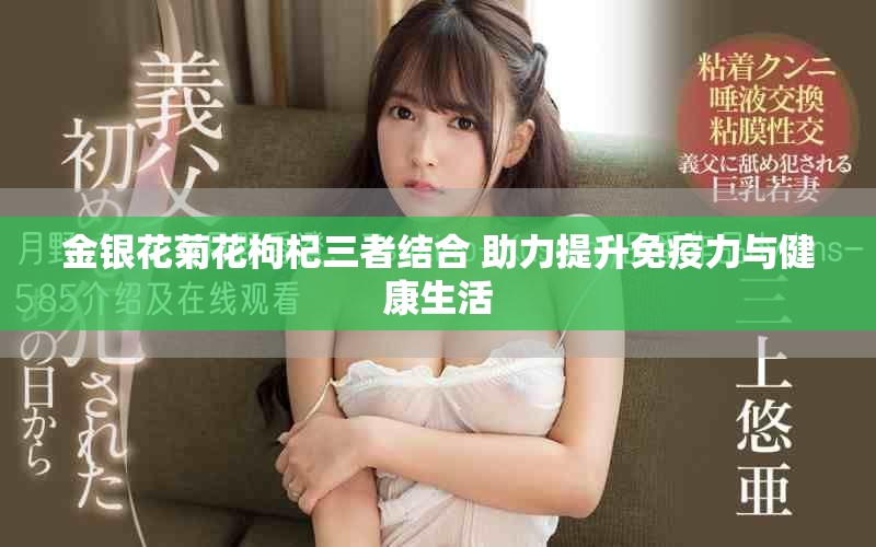 金银花菊花枸杞三者结合 助力提升免疫力与健康生活