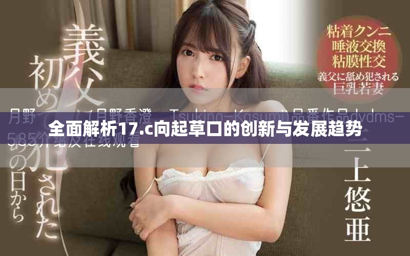 全面解析17.c向起草口的创新与发展趋势