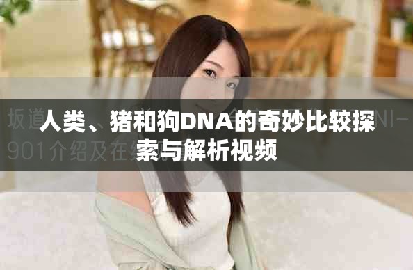 人类、猪和狗DNA的奇妙比较探索与解析视频