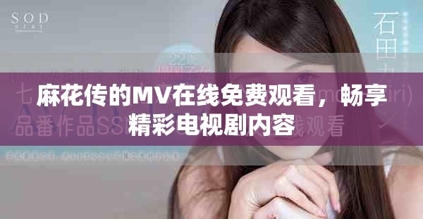 麻花传的MV在线免费观看，畅享精彩电视剧内容