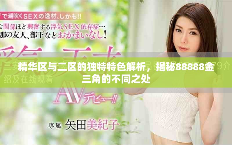 精华区与二区的独特特色解析，揭秘88888金三角的不同之处