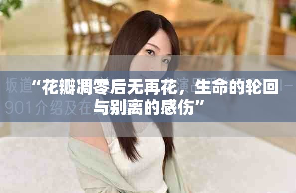 “花瓣凋零后无再花，生命的轮回与别离的感伤”