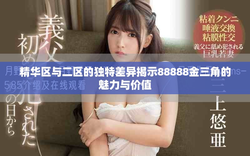精华区与二区的独特差异揭示88888金三角的魅力与价值