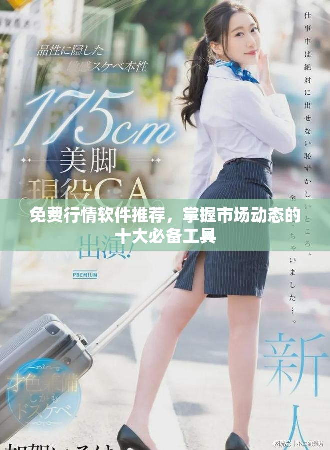 免费行情软件推荐，掌握市场动态的十大必备工具