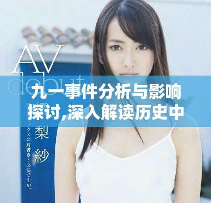 九一事件分析与影响探讨,深入解读历史中的重要转折点