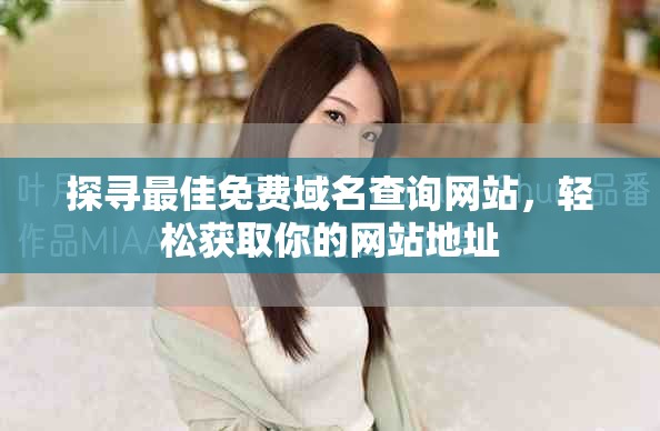 探寻最佳免费域名查询网站，轻松获取你的网站地址