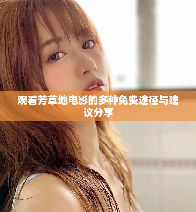 观看芳草地电影的多种免费途径与建议分享