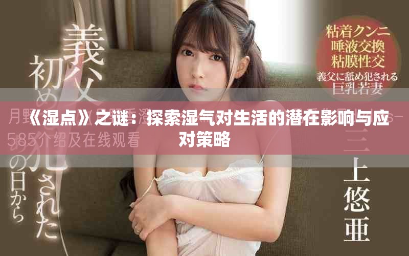 《湿点》之谜：探索湿气对生活的潜在影响与应对策略