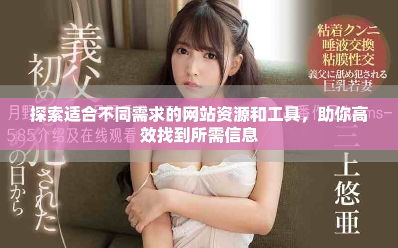 探索适合不同需求的网站资源和工具，助你高效找到所需信息