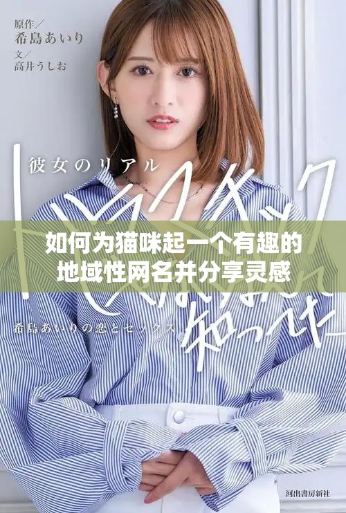 如何为猫咪起一个有趣的地域性网名并分享灵感