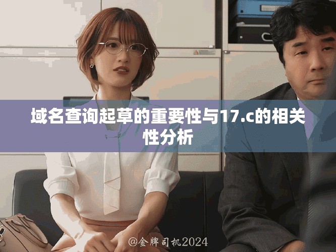 域名查询起草的重要性与17.c的相关性分析
