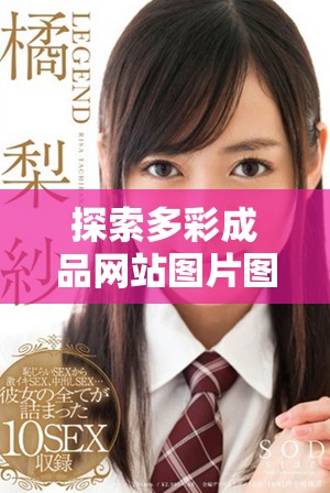 探索多彩成品网站图片图库，尽享视觉盛宴与创意灵感