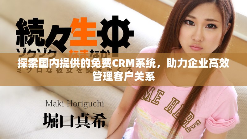 探索国内提供的免费CRM系统，助力企业高效管理客户关系