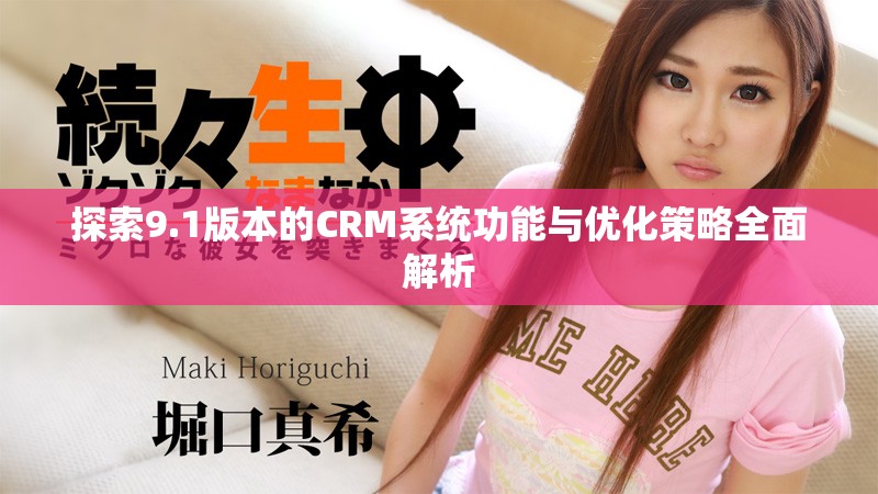 探索9.1版本的CRM系统功能与优化策略全面解析