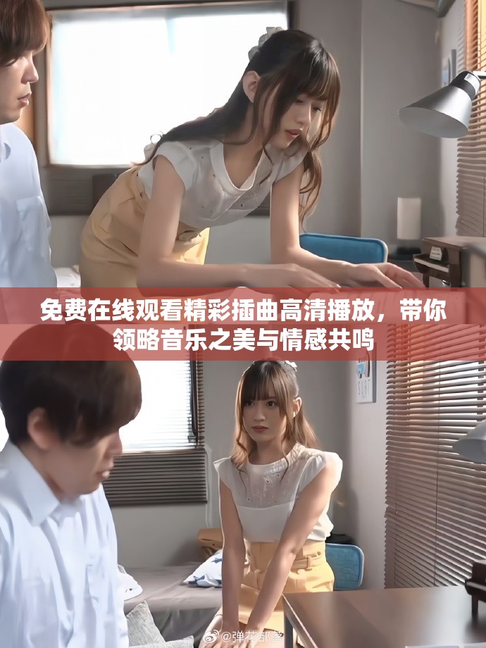 免费在线观看精彩插曲高清播放，带你领略音乐之美与情感共鸣