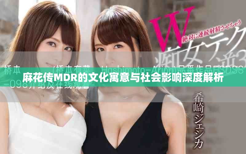 麻花传MDR的文化寓意与社会影响深度解析