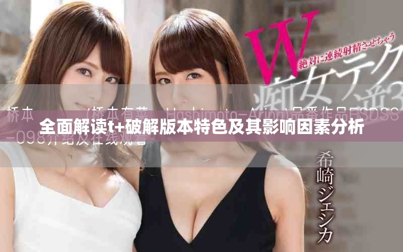 全面解读t+破解版本特色及其影响因素分析