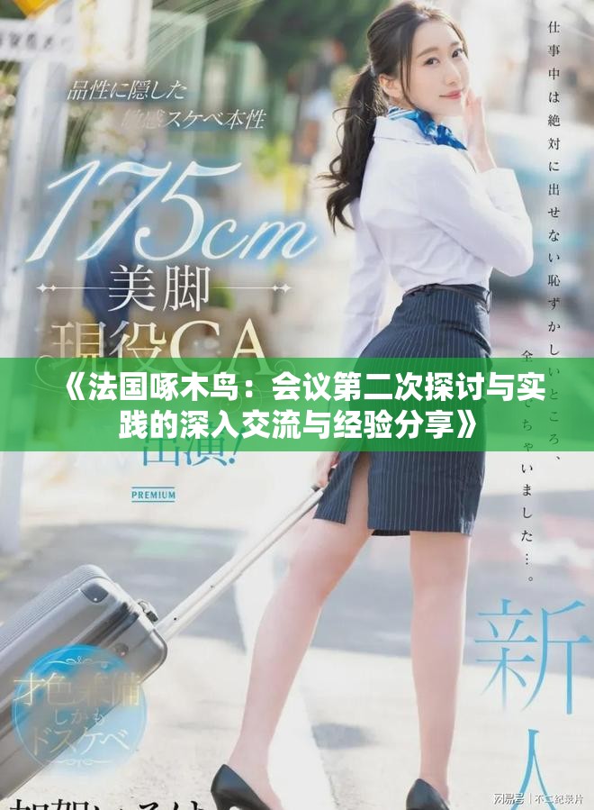 《法国啄木鸟：会议第二次探讨与实践的深入交流与经验分享》