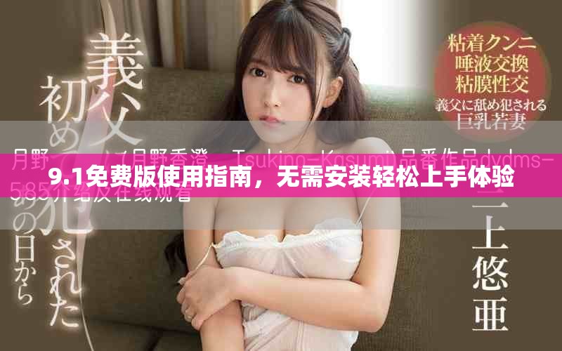 9.1免费版使用指南，无需安装轻松上手体验