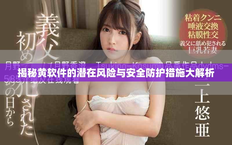 揭秘黄软件的潜在风险与安全防护措施大解析
