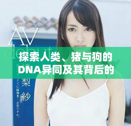探索人类、猪与狗的DNA异同及其背后的科学意义