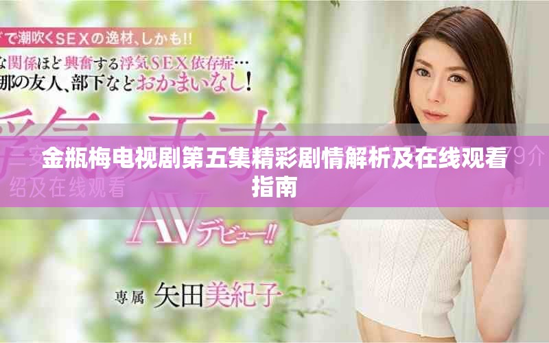 金瓶梅电视剧第五集精彩剧情解析及在线观看指南